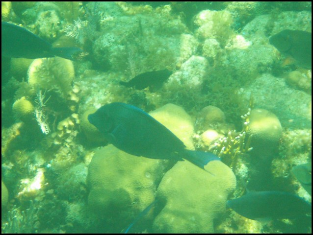Belize 2008-371.JPG