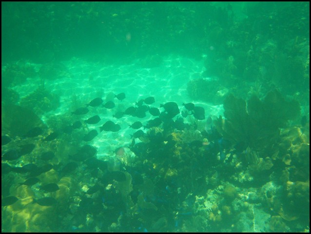 Belize 2008-372.JPG