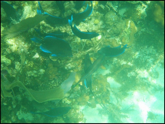Belize 2008-373.JPG