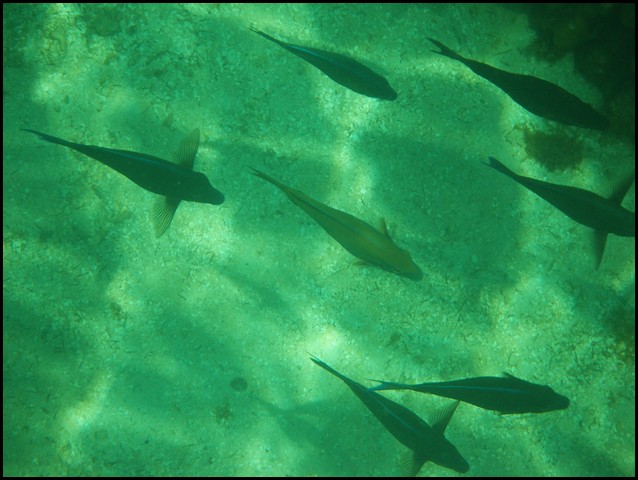 Belize 2008-374.JPG