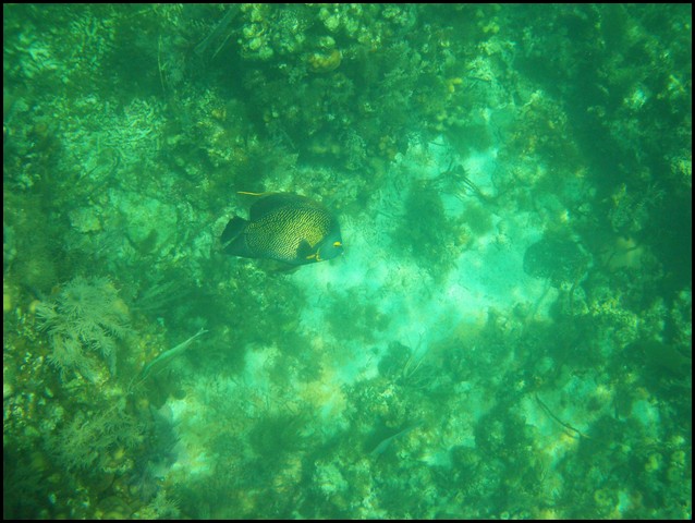 Belize 2008-375.JPG