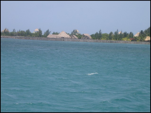 Belize 2008-417.JPG