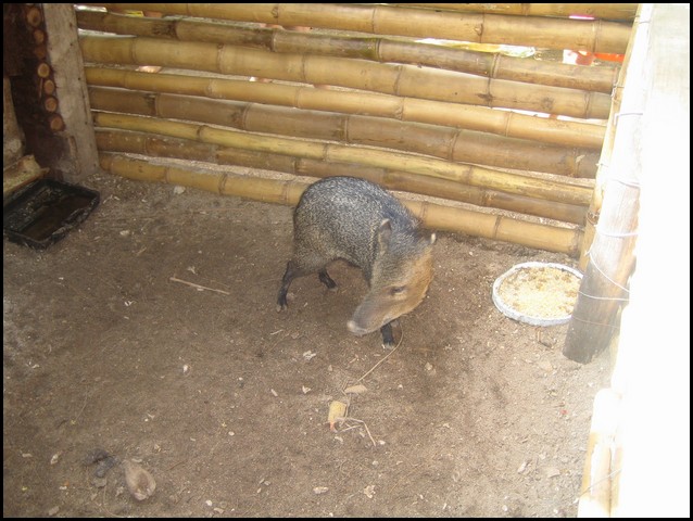 Belize 2008-424.JPG