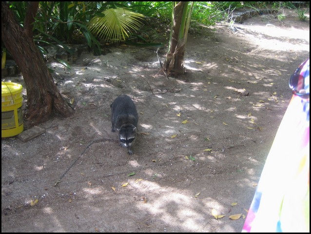 Belize 2008-425.JPG