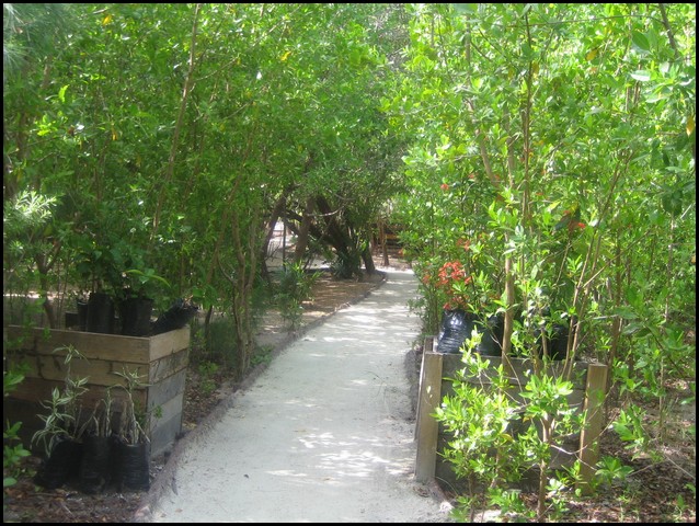 Belize 2008-426.JPG
