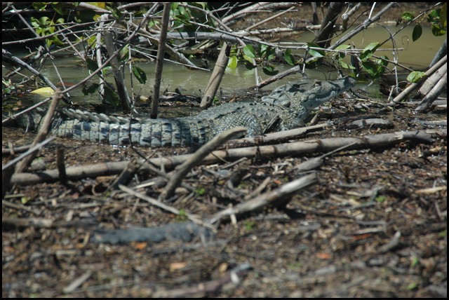 Belize 2008-467.JPG