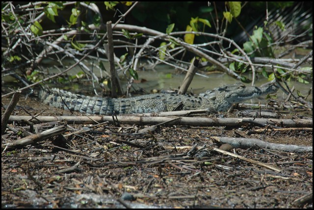 Belize 2008-468.JPG