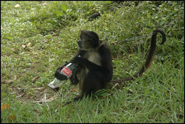 Belize 2008-480.JPG