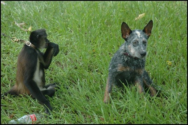 Belize 2008-481.JPG