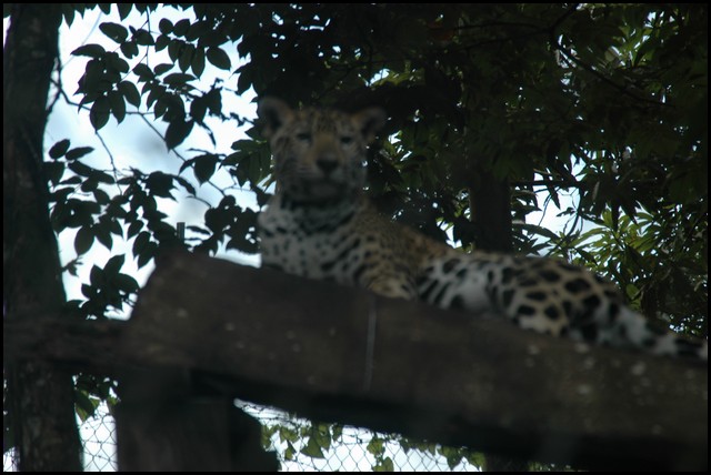 Belize 2008-482.JPG