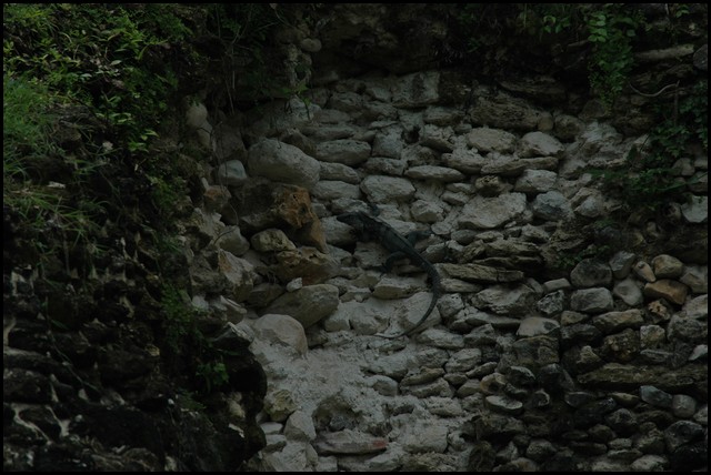 Belize 2008-491.JPG