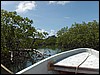Belize 2008-011.JPG