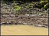 Belize 2008-021.JPG