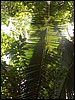 Belize 2008-026.JPG