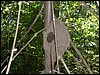 Belize 2008-028.JPG