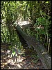 Belize 2008-029.JPG