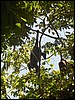 Belize 2008-032.JPG