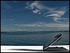 Belize 2008-068.JPG