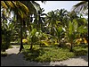 Belize 2008-087.JPG