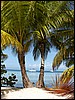 Belize 2008-091.JPG