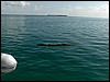 Belize 2008-110.JPG