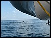 Belize 2008-114.JPG