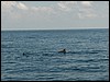 Belize 2008-115.JPG