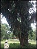 Belize 2008-146.JPG