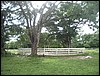 Belize 2008-151.JPG