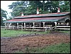 Belize 2008-153.JPG