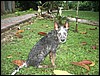 Belize 2008-154.JPG