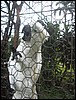 Belize 2008-155.JPG