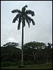 Belize 2008-157.JPG