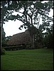 Belize 2008-159.JPG