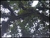 Belize 2008-160.JPG