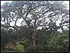 Belize 2008-163.JPG