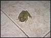 Belize 2008-169.JPG