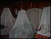 Belize 2008-170.JPG