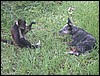 Belize 2008-173.JPG