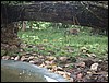 Belize 2008-174.JPG