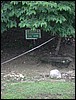 Belize 2008-177.JPG