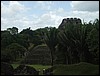 Belize 2008-184.JPG