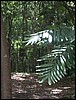 Belize 2008-207.JPG