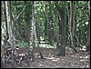 Belize 2008-208.JPG