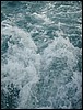 Belize 2008-270.JPG