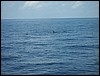 Belize 2008-273.JPG