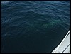 Belize 2008-274.JPG