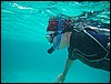 Belize 2008-340.JPG