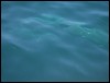 Belize 2008-360.JPG