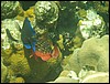 Belize 2008-364.JPG